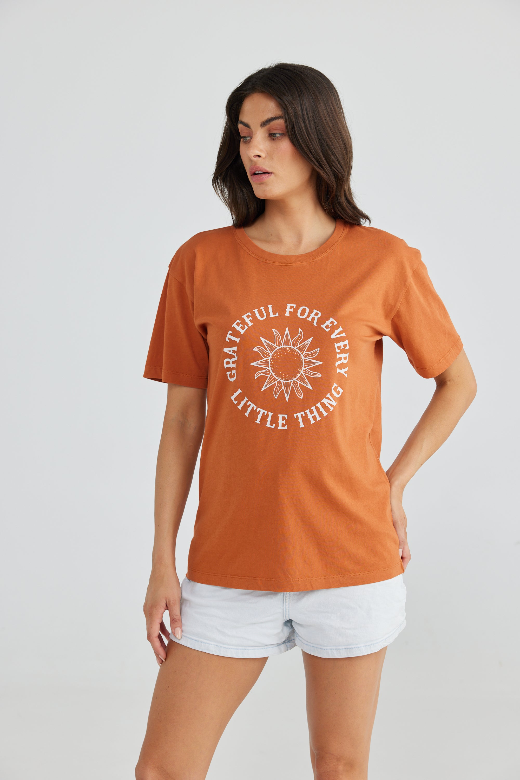 Grateful Relaxed Tee in Camel Grateful Relaxed Tee in Camel